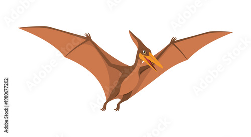 Pterosaur flying with wings spread on white background