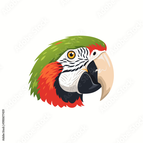 Macaw parrot head shown in profile on white background