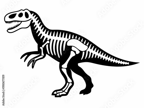 Tyrannosaurus rex skeleton silhouette standing on white background