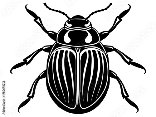 Black stylized beetle drawing with striped shell on white