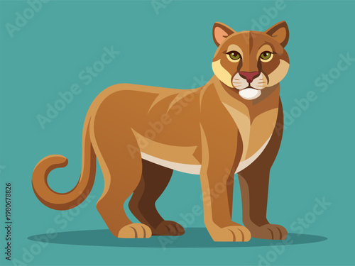 Puma standing facing viewer on teal studio background