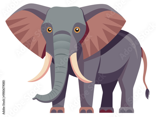 Elephant standing facing forward on white background illustration