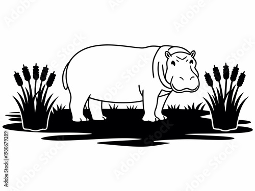 Hippopotamus standing among reeds in marsh silhouette art
