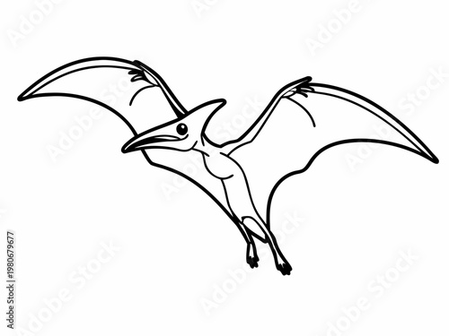 Pterosaur soaring with outstretched wings against white
