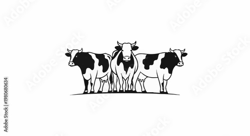 Three black and white cows standing side by side