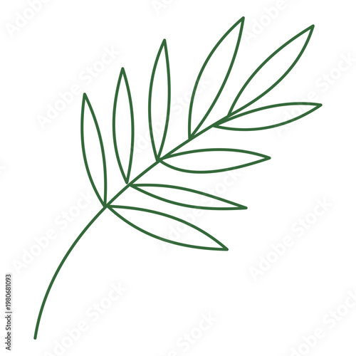 Tropical leaf branch outline