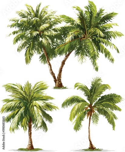 tropical palm trees vector illustration of beach island with coconut palms, summer vacation nature scene with green leaves, sun, sky, isolated exotic palm silhouettes