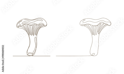 Single-line chanterelle mushroom icon in continuous drawing style, clean and modern.