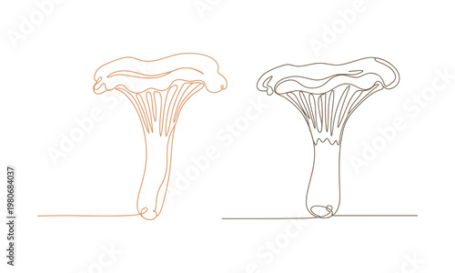 One continuous stroke illustration of a chanterelle mushroom, simple vector outline.