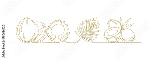 Coconut fruit set in continuous one line drawing style, isolated on white with editable stroke.