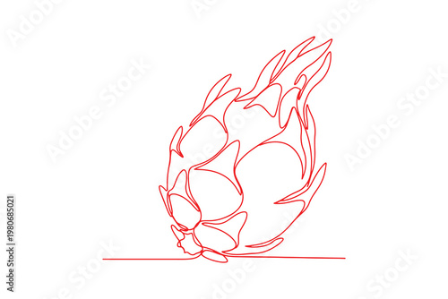 Dragon fruit depicted through a smooth continuous line, modern vector art.