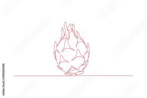 Continuous line sketch of dragon fruit, simple and elegant vector illustration.