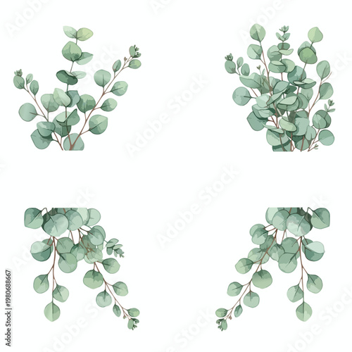 Beautiful Eucalyptus Branches with Soft Green Leaves for Natural Decor and Floral Arrangements