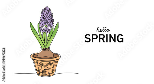 Hand-drawn illustration of a purple hyacinth flower growing in a pot with hello spring text for seasonal home decoration.