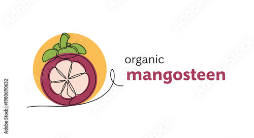 Organic mangosteen fruit illustration rendered in a continuous line drawing style featuring an exotic tropical purple fruit with green leaves.
