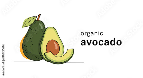 Healthy organic avocado fruit depicted in a continuous line drawing style showing a whole fruit and a cross section with a brown pit.