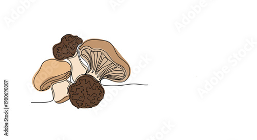 Assortment of edible mushrooms in various shapes and brown tones rendered in a clean minimalist continuous line drawing style for cooking.