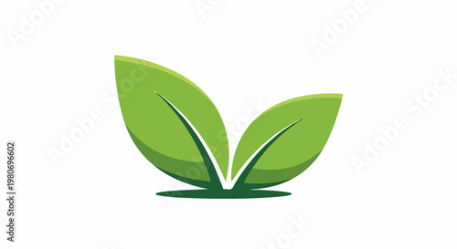 Two stylized green leaves with a subtle shadow on a white background