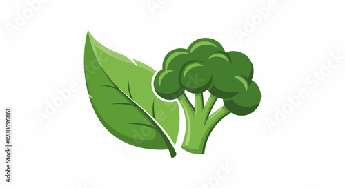 A green broccoli floret and a large leaf are displayed against a white background