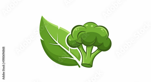 Green broccoli and a leaf on a white background
