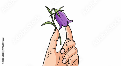 Delicate purple bellflower held between two fingers on white background