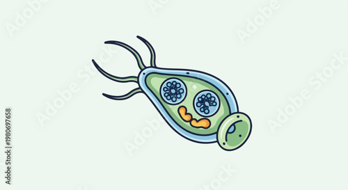 Cartoon microorganism with flagella, internal structures and a mouth-like opening