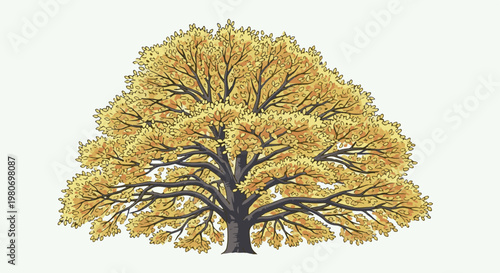 A large deciduous tree with a full canopy of yellow and orange autumn leaves