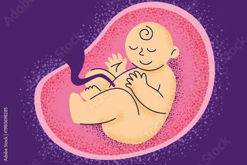 Healthy fetus inside the womb with an umbilical cord. Corporate Memphis style vector art showing embryonic development and prenatal life.