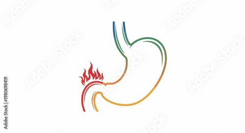 Stylized illustration of a stomach with flames indicating heartburn or indigestion