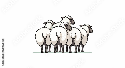 A group of fluffy sheep viewed from behind on a white background