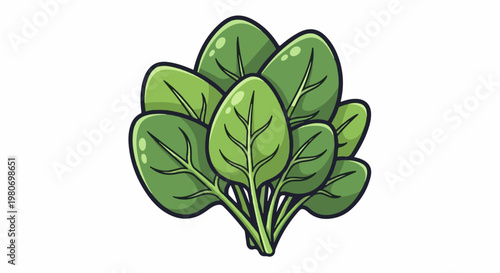 A bunch of fresh green spinach leaves with prominent veins