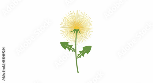 Stylized yellow dandelion flower with green leaves against white background