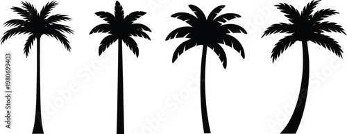 Four black silhouette palm trees with fronds against  tropical