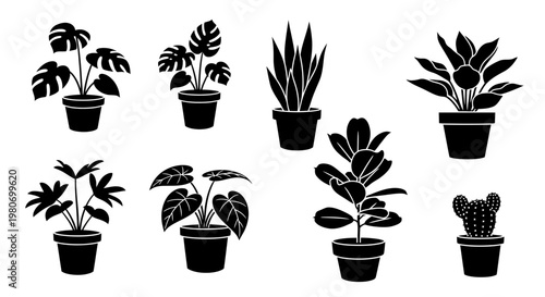 Black silhouettes of potted plants variety.