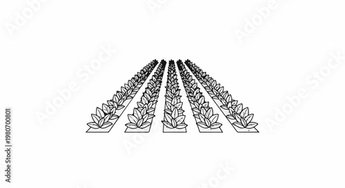 Rows of stylized leaves, appearing as a stylized crop, recede into the distance