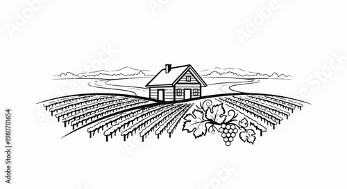 A rustic house sits amidst rolling hills and lush vineyard fields with grapes