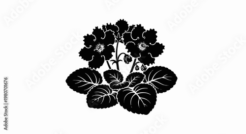 Black silhouette of blooming violets with detailed leaves against white background