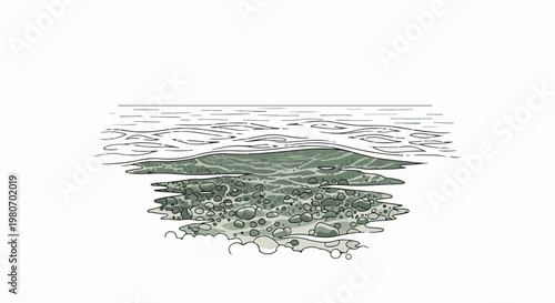 Rippling water surface above a rocky riverbed, illustrated with line art and subtle color
