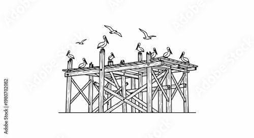 A detailed line drawing depicts pelicans perched and flying above a wooden structure
