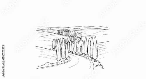 Winding road through rolling hills lined with tall cypress trees