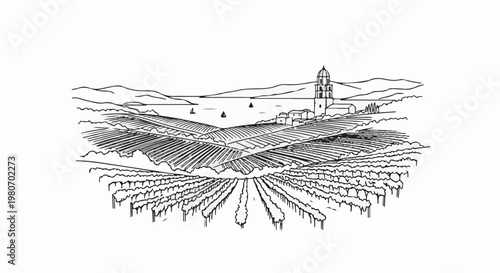 Black and white sketch of rolling vineyards leading to a coastal town