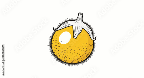 Yellow fuzzy fruit with a white highlight and a stem