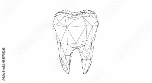 Wireframe representation of a human molar tooth
