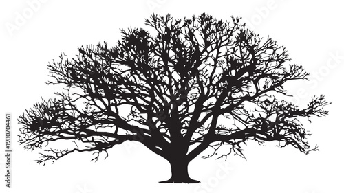 Silhouette of a Majestic Tree: A stark silhouette of a mature tree stands prominently, its sprawling branches reaching toward the sky, creating a dramatic interplay of light and shadow.