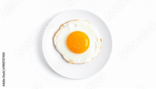 Single Fried Egg on White Plate