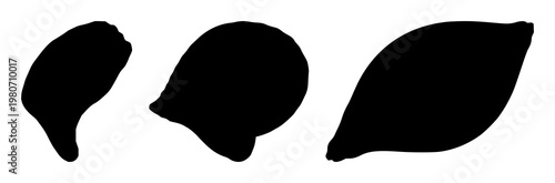 Conch shell silhouette set with minimalist design featuring ocean, marine, beach with sea and nature elements