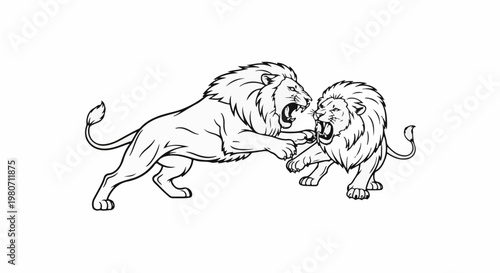 Two lions engaged in a fierce fight, illustrating raw power