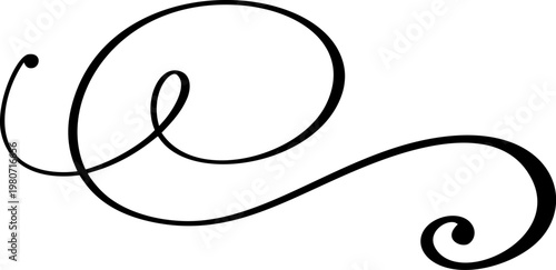 Elegant calligraphic vector divider swirl accenting decorative text element. Vintage flourish ornament for design projects on white background