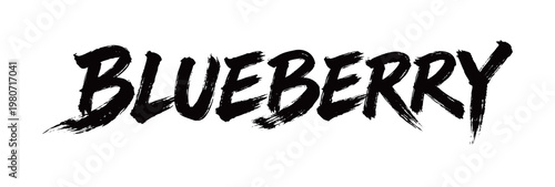 BLUEBERRY Handwriting