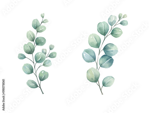 Watercolor round leaf design with green and yellow tones